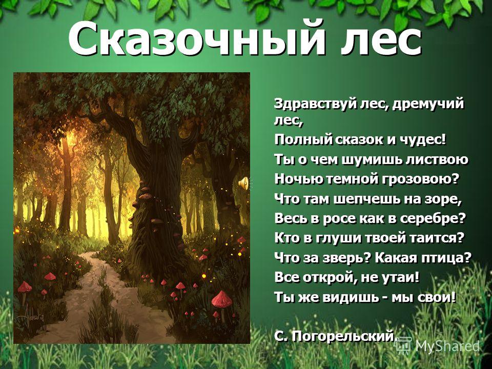 Книжка-малышка Роль леса в природе и жизни людей