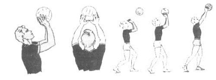 Технологическая карта урока физической культуры в 5 классе по ФГОС на тему «Передача мяча двумя руками сверху над собой и вперед».