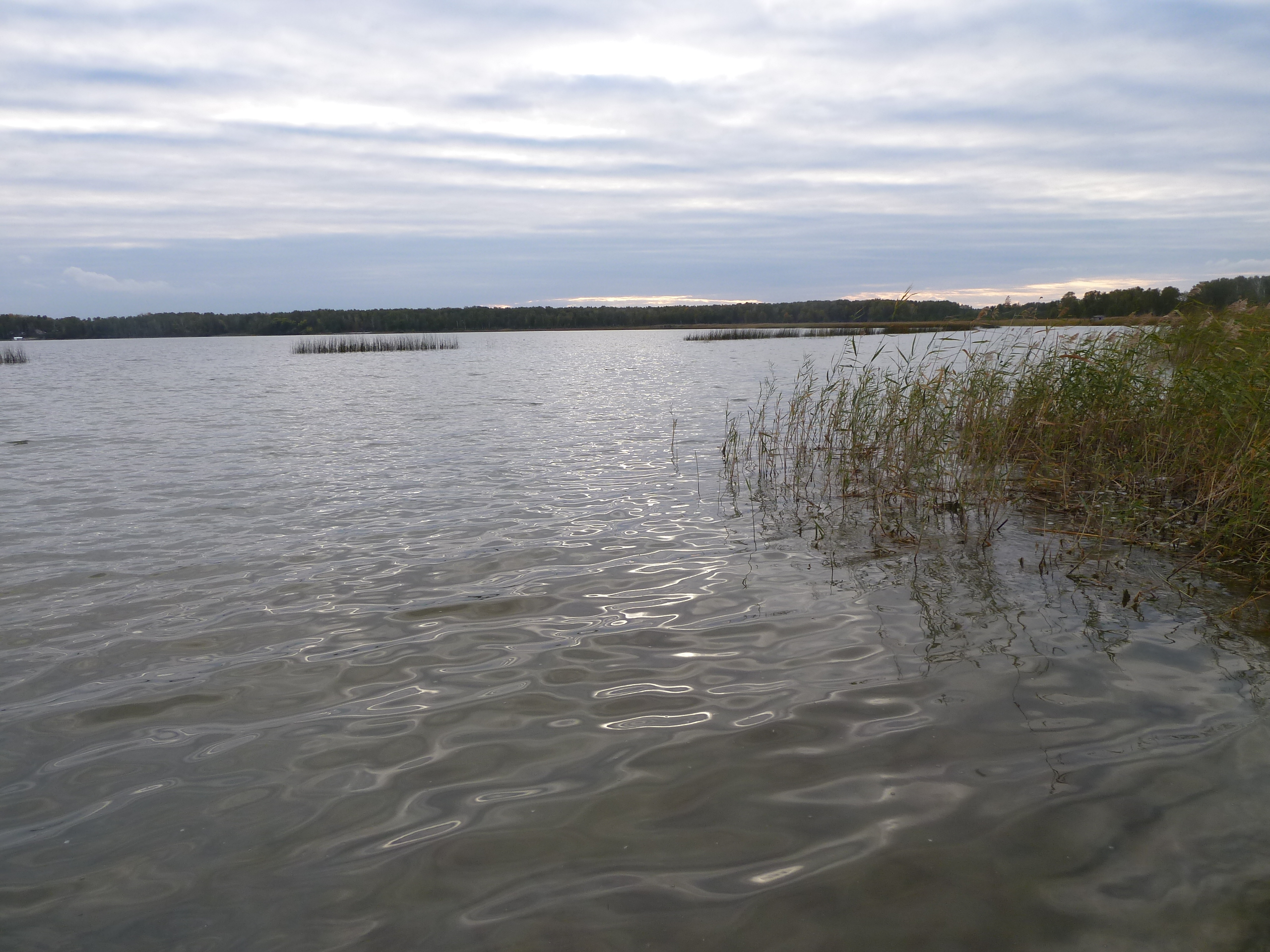 Рассказ -Будет ли чистым озеро Шеломенцево?