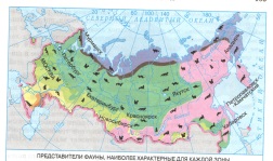 Технологическая карта открытого урока Путешествие по природным зонам России 4 класс.