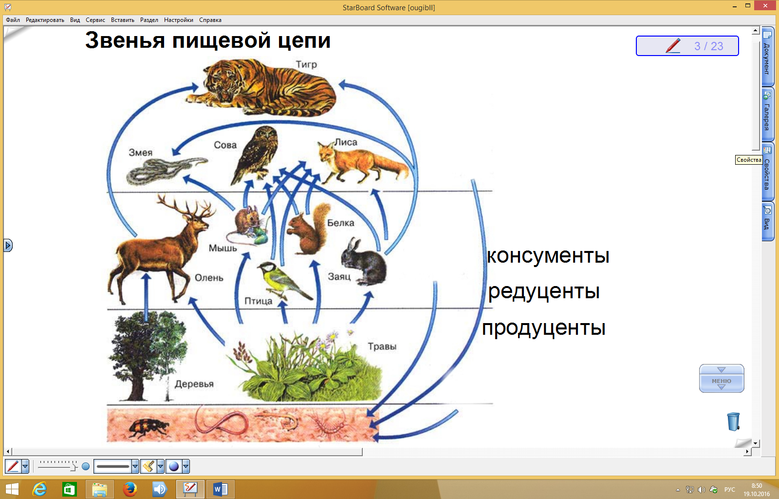 Взаимодействие организмов в природном сообществе 5 класс