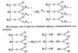 Методическое пособие по органической химии для учащихся – экстернов. 10 кл.III часть