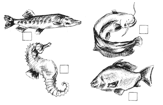 Дидактические карточки к теме Рыбы