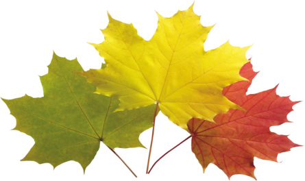 Урок речевого творчества на тему Осенний листок. Листопад (4 класс)