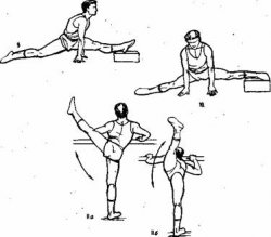 План-конспект урока по физической культуре на тему Гимнастика. Кувырки вперед и назад в группировке из упора присев. (5 класс)