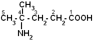 2 метилпентановая кислота формула. 2 Метил 2 аминопентановая кислота. 4 Метил Амино пентановая кислота. 2 Аминопентановая кислота формула. 4 Аминопентановая кислота формула.