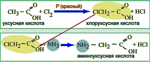 Учебно - методический комплекс по химии