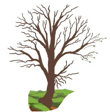 Рабочая тетрадь для учеников по рисованию на тему Деревья осенью (2 класс)