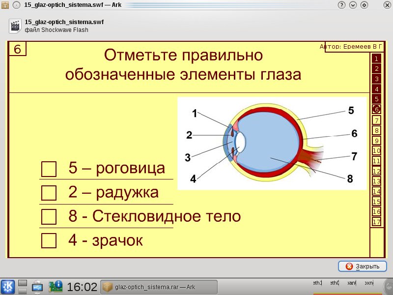 Поурочное планирование урока физика Глаз как оптическая система. Дефекты зрения (8 класс)
