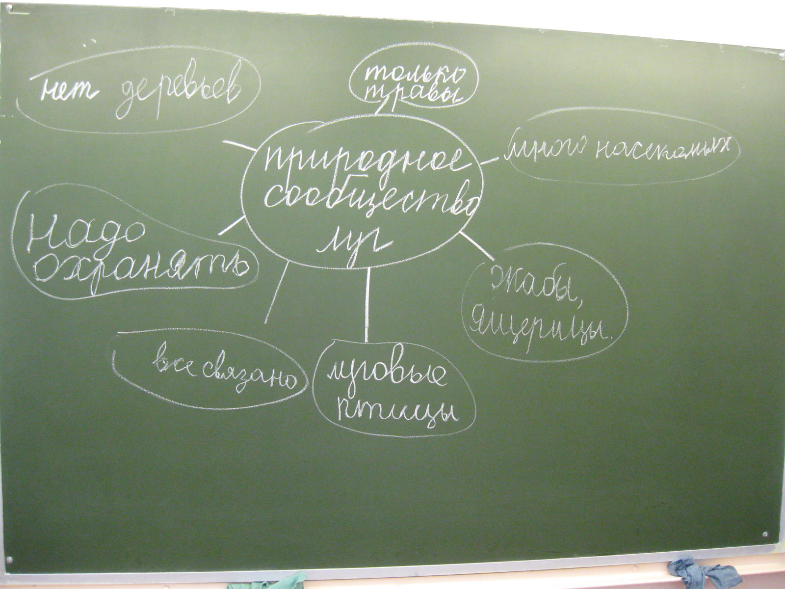 Конспект урока окружающего мира 3 класс по программе «Перспективная начальная школа» на тему Луг и его обитатели.