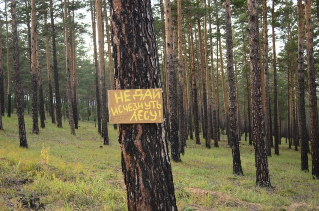 Поход в лес с экологическим десантом