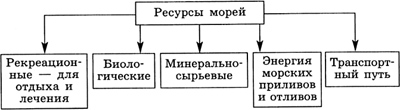 Разработка урока географии Моря России. 8 класс