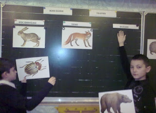 Розробка уроку природознавства в 3 класы
