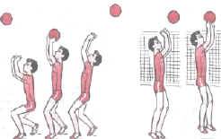 Обучение волейболу на уроках физической культуры .