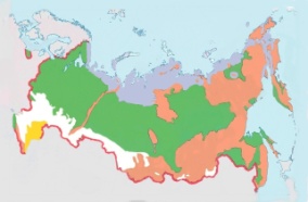 Фрагмент урока окружающего мира Природные зоны РФ