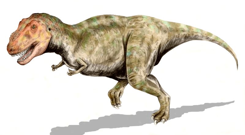 Исследовательская работа «Тираннозавр рекс– «королевский» ящер»