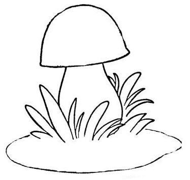 Урок на тему : Рисование грибов с натуры акварелью