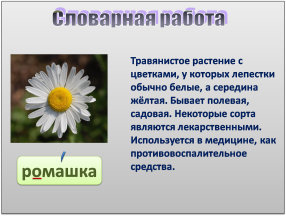 Конспект урока по русскому языку на тему Заглавная буква в именах. отчествах и фамилиях