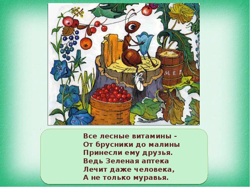 Урок по гражданскому образованию по теме,,Зеленая аптека Донбасса