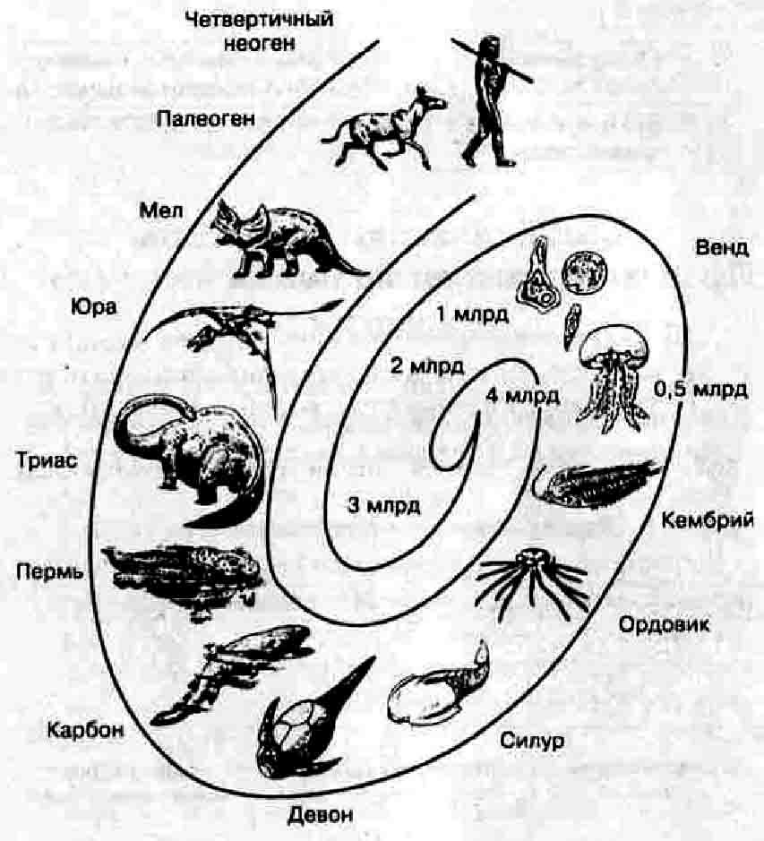 План-конспект учебного занятия по биологии эволюция органического мира