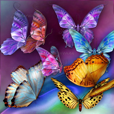 Исследовательский проект Удивительный мир бабочек 2 класс