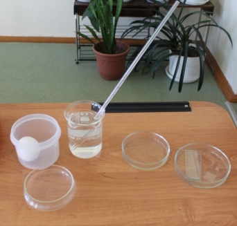 Исследовательская работа учащихся: Действие спиртов на органические объекты и живые организмы