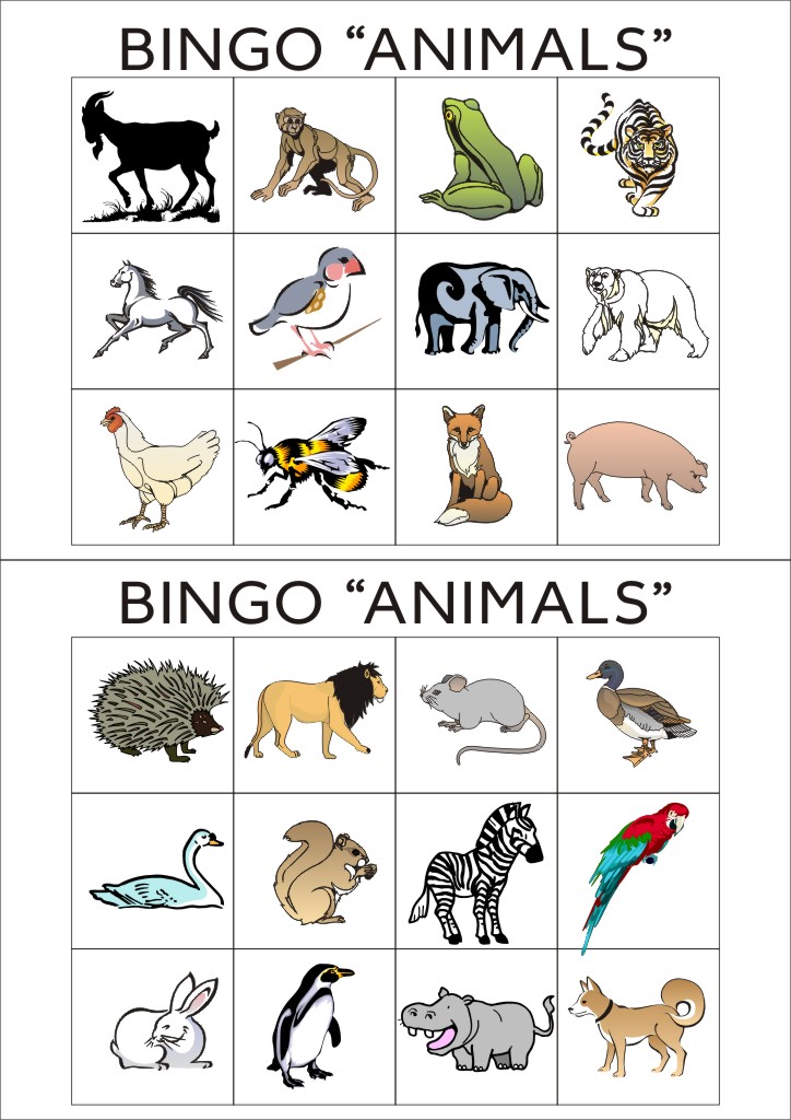 Тематические карточки для игры Бинго на уроках английского языка