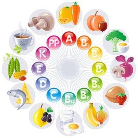 Памятка для родителей и обучающихся Роль витаминов в детском питании