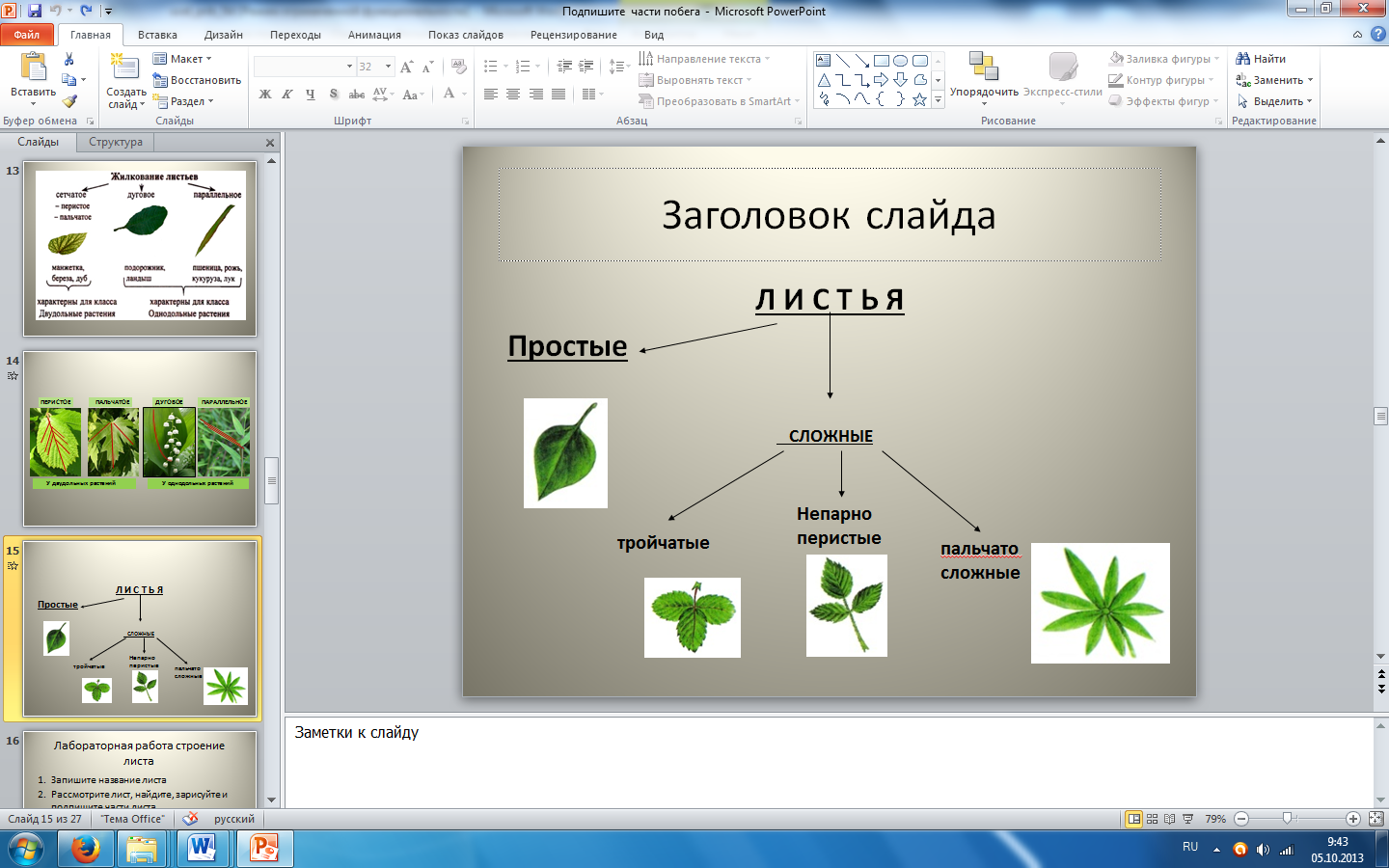 Урок биологии по теме Внешнее строение листа (6 класс)