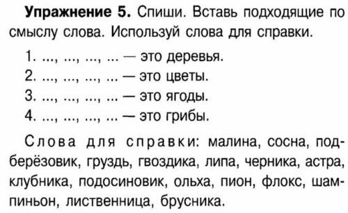 Упражнения по русскому языку.Имя существительное.