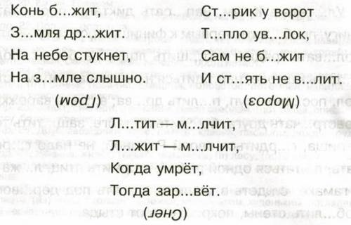 Упражнения по русскому языку.Имя существительное.