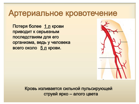 Урок-Презентация на тему: Общая характеристика кровотечений