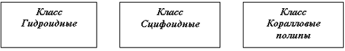 Урок биологии 7 класс Многообразие кишечнополостных