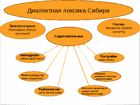 Исследовательская работа Диалектная речь Сибири