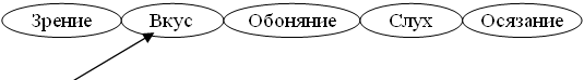 Обобщающий урок окружающего мира УМК Л.В.Занкова на тему «Как изучают окружающий мир»