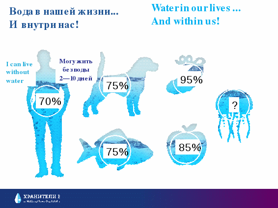 Международный экоурок «Хранители воды»