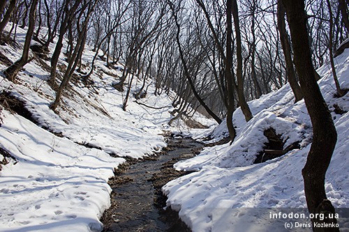 Воздействие родниковой воды на здоровье человека (практико-ориентированный проект)