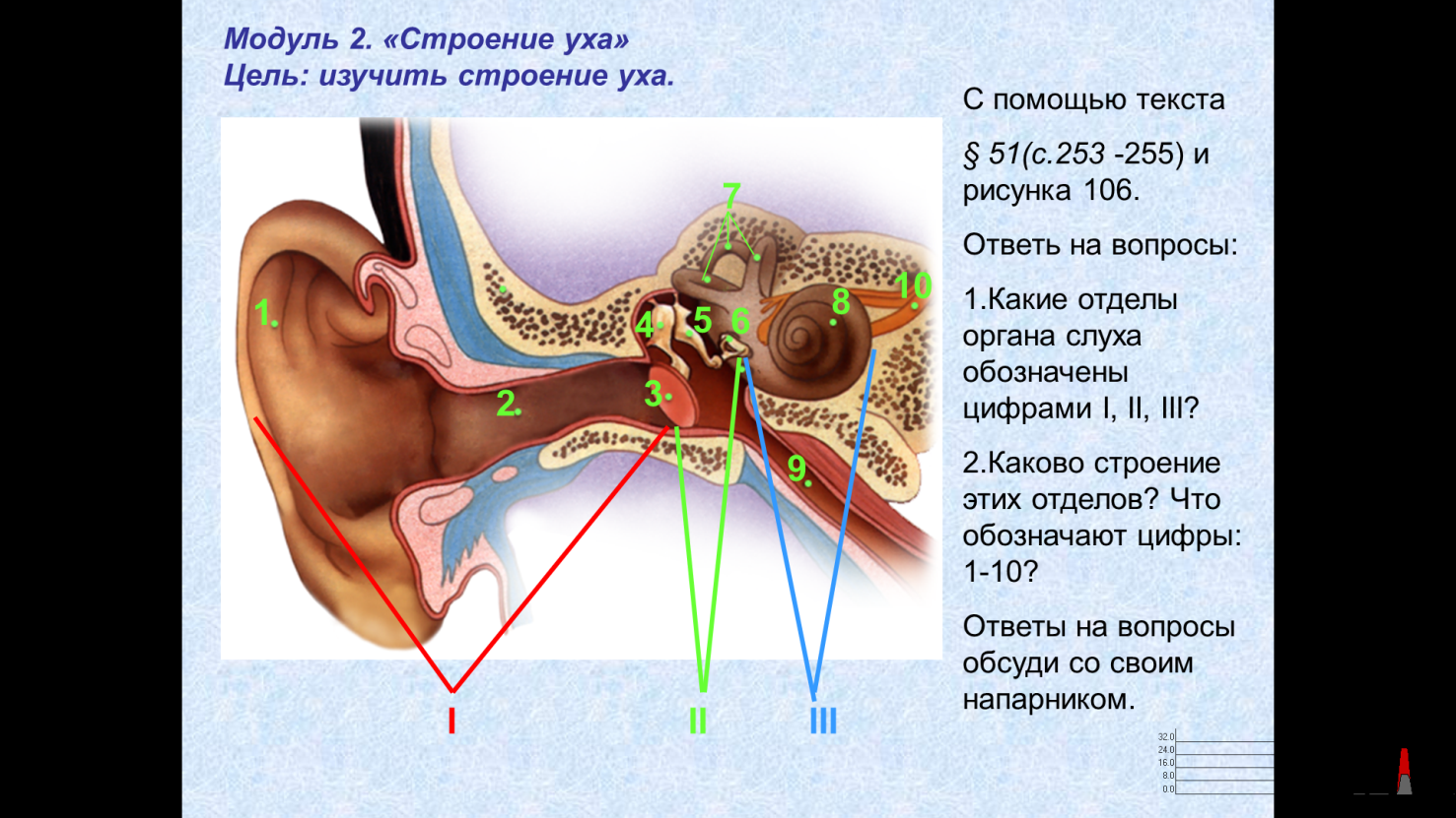 Лабораторная работа по биологии на тему: Строение слухового анализатора
