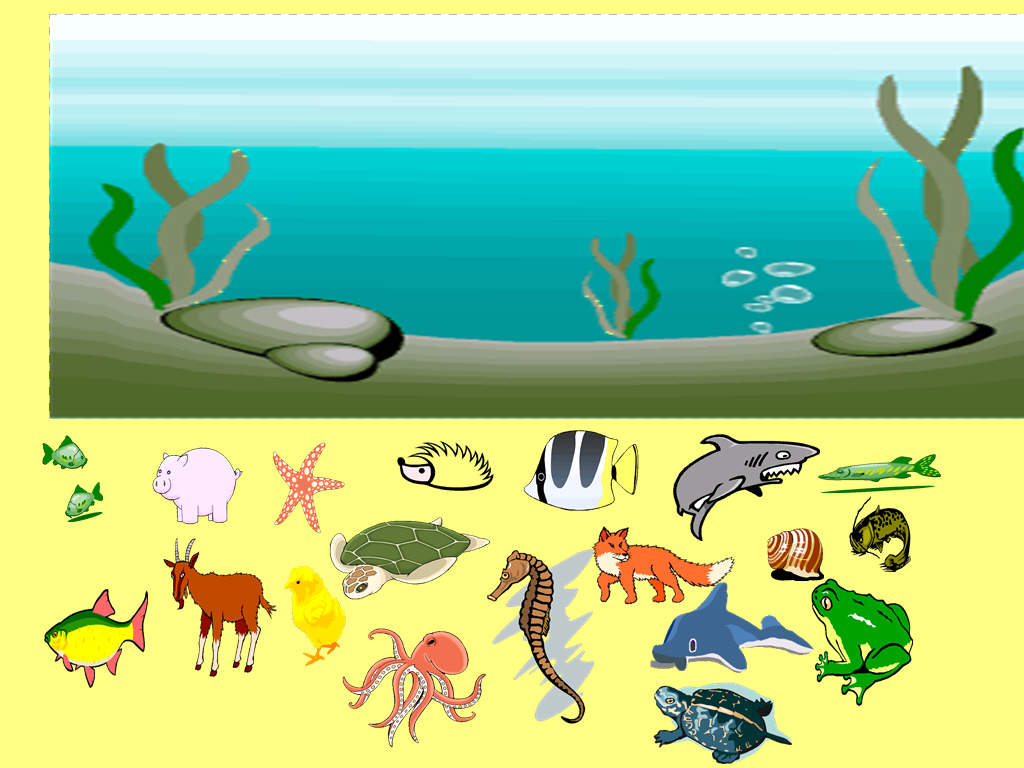 Организмы живущие в озере. Водные обитатели. Водные животные для детей. Водные обитатели для дошкольников. Обитатели водоемов задания для дошкольников.