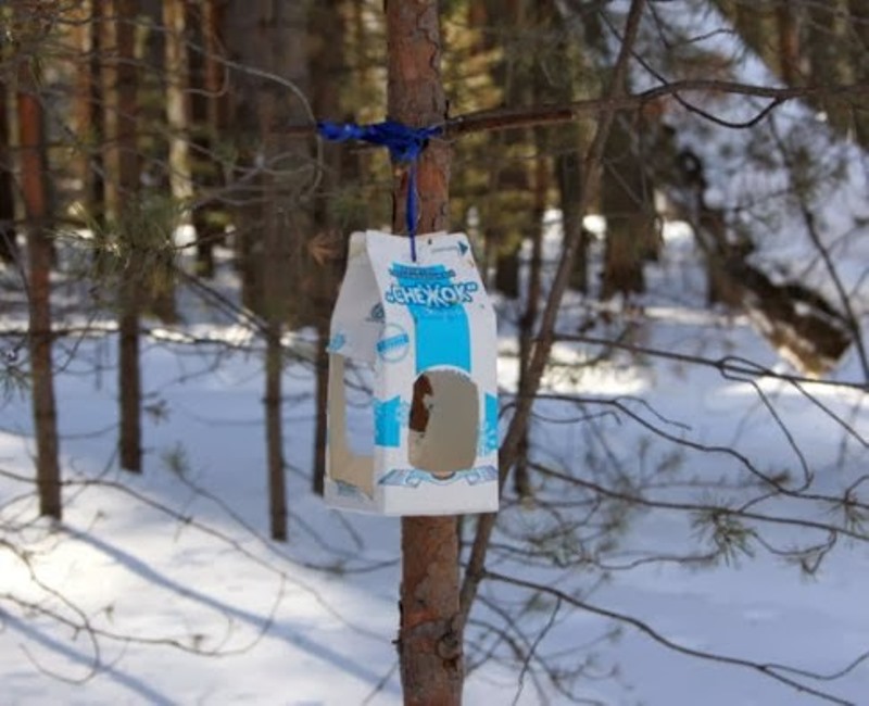Социальный проект Покормите птиц зимой
