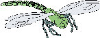 Сабақтың тақырыбы: Құстарды қыс кезінде аялайық!