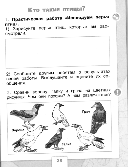 Проект урока по теме «Кто такие птицы» (Окружающий мир 1 класс)