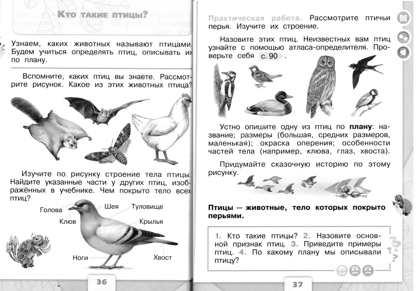 Проект урока по теме «Кто такие птицы» (Окружающий мир 1 класс)