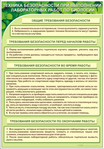 Программа экологического практикума Экологические системы (5 - 11 классы)
