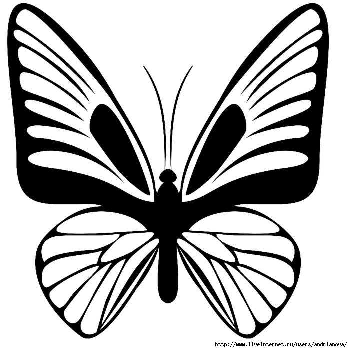 Шаблоны бабочки - для художественного труда