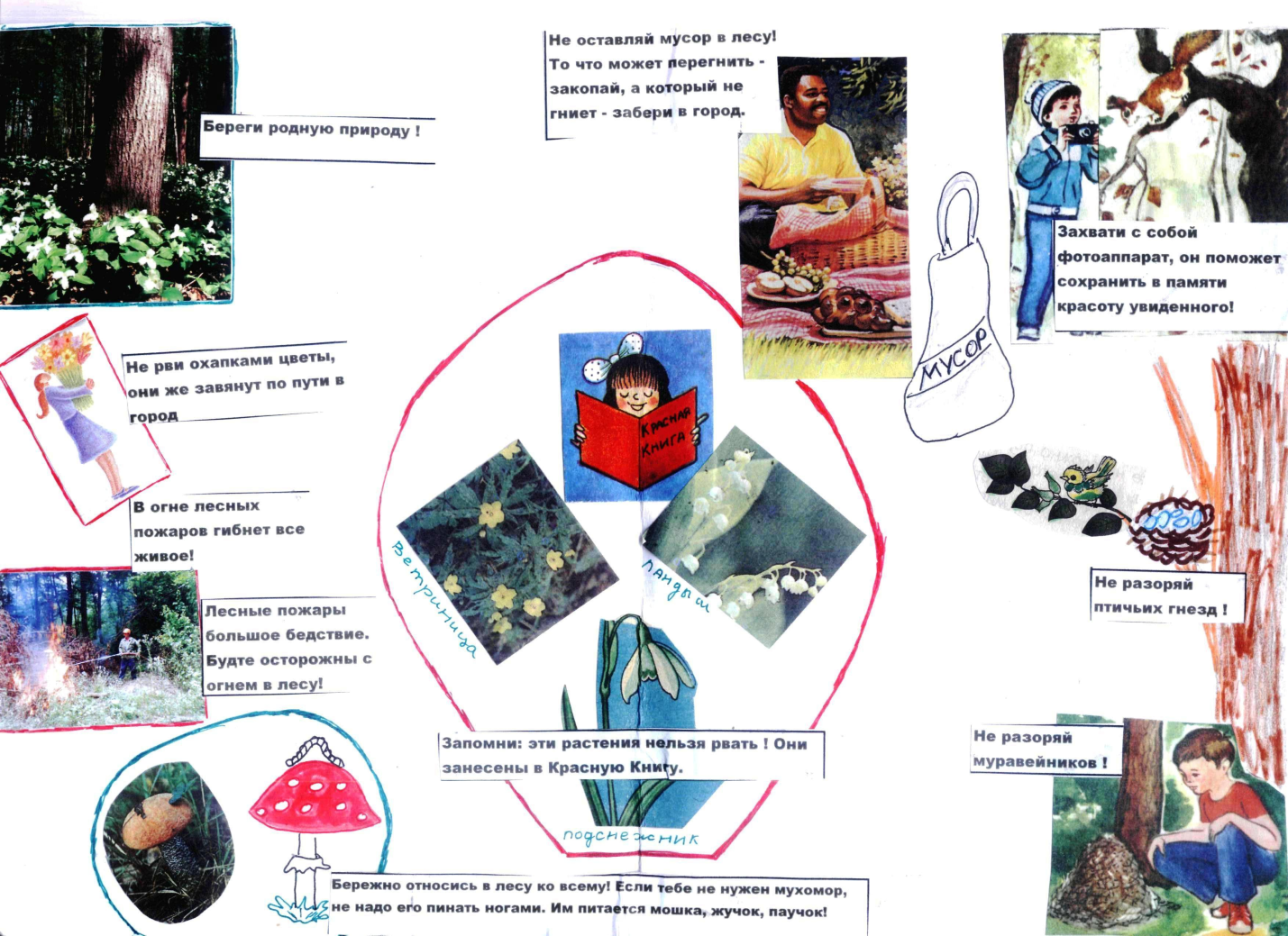 Конспект урока и презентация на тему Влияние человека на природу (7 класс)
