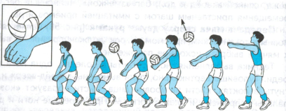 Конспект урока по Физической культуре для обучающихся 6 класса по разделу Волейбол