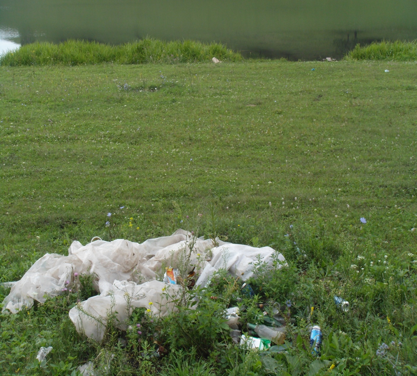 Экология «Чисто там, где не мусорят»