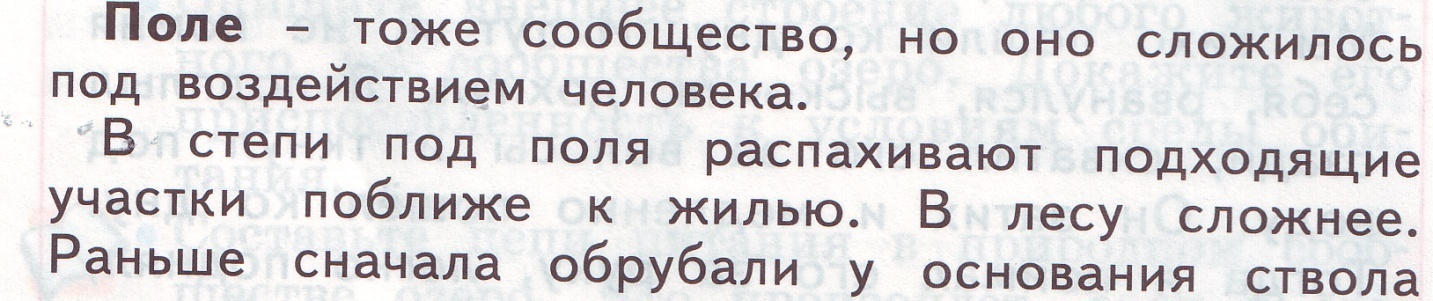 Задания к тексту Поле (3 класс. система Л.В. Занкова)