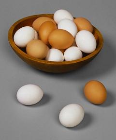 Конспект урока технологии 5 класс по теме: Блюда из яиц.